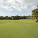 Illustration for article titled Tiger Woodss Backyard Practice Facility Is Nicer Than Most Golf Courses
